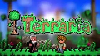 Terraria•первый день