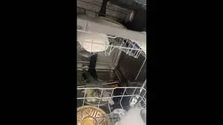 LG Dishwasher Livestream