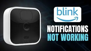 Do THIS if your Blink notifications are not working!