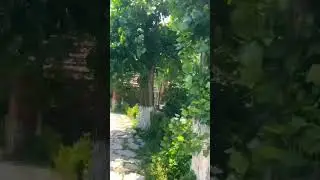 Дилиджан (ресторан Гетап) #armenia