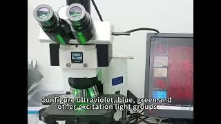 Mshot LED fluorescence module helps Olympus BX41 fluorescence upgrade