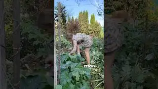 Почему же так тяжело?😩