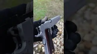 Kimber Stainless Target LS 10mm