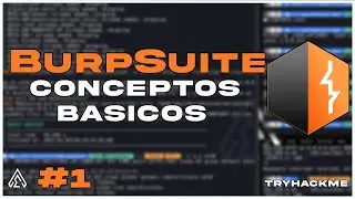 BURP SUITE: THE BASIC en ESPAÑOL - TryHackMe Jr. Penetration Tester