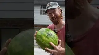 Finding the HP of a watermelon ✅ 
