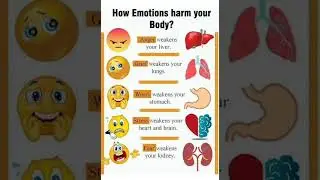 How Emotions Harm Your Body @bulbulseduvlogs7041 #emotionsmatter #healthcoaching #emotions