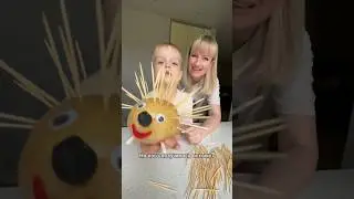 HEDGEHOG or PORCUPINE? 🤣🤷‍♀️ 