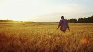 Hlibny Dar Там, де твій дім