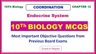 Endocrine System MCQS.10Th Biology.