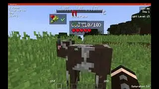 Legacy Forge & Legacy Fabric 1.8.9 Double Modpack Overview