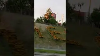 Солнечный город.