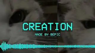 CREATION - Bepic