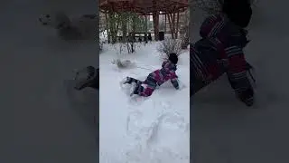 2 декабря 2023 г.