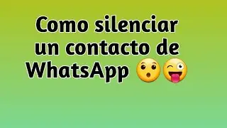 Como silenciar un contacto de WhatsApp