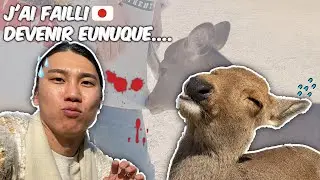 J’AI VISITÉ LE PARC AUX DAIMS AU JAPON 🇯🇵 | PARC NARA 🦌