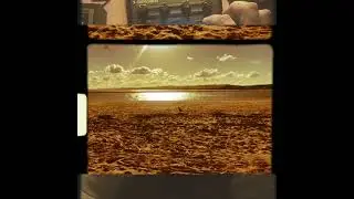 Sunny vibes at my local beach #sp404mk2 amBeats