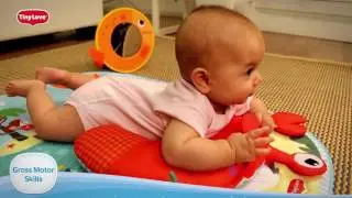 Baby's Development: Gross Motor Skills