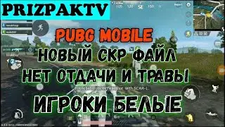 PUBG MOBILE НЕТ ТРАВЫ И ОТДАЧИ, ИГРОКИ БЕЛЫЕ, ЧЕРНОЕ НЕБО, СКР ФАЙЛ 99999