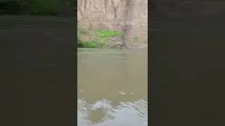 #истина