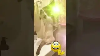 Танец заказывали на десерт?)