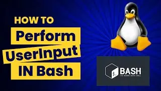 how to take input from User in Bash Script 