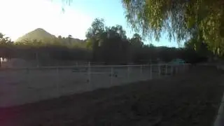 F.W. JONES Thoroughbred Farm