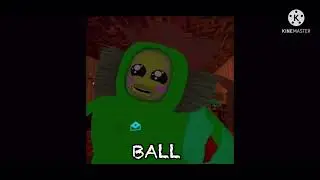 The best moments from my first VR videos