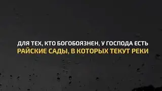Анас аль-Имади | Сура Али Имран | Красивое чтение Корана