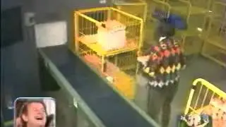 конвейер с Яйцами  the conveyor with Eggs