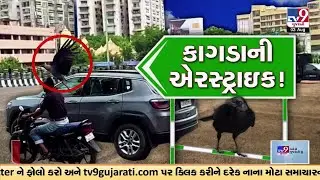 Scary Encounter: Crow spotted attacking commuters in Thaltej area | Ahmedabad | Gujarat