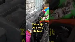 Zebra 1.3 riwayatmu kini berakhir #besitua