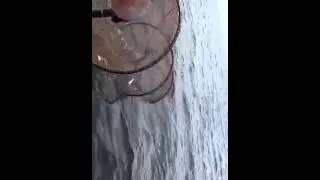 ловись рыбка большая и маленькая
