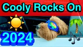 Cooly Rocks On 2024, Gold Coast Australia