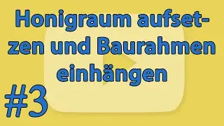 [#3] ► Das Aufsetzen des Honigraumes und Einhängen des ersten Baurahmens