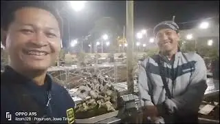 partisipasi pamlok Purwosari 2022