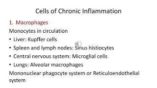 Inflammation 3