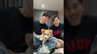 MewTul and cute dog