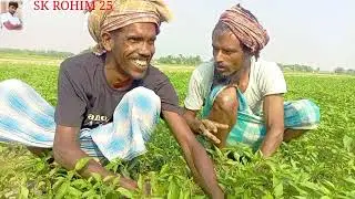 {জার} {দিনগাওদোয়া}  {নসত} 😆😆👍🌹