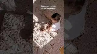Когда есть подушки, игрушки не нужны!)