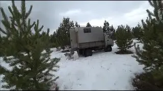 ПЯТЬ ДНЕЙ ЖИВЕМ В УАЗе!!! Сбор сосновой шишки 2021