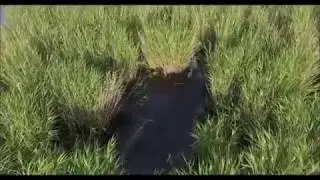 Ростовский заповедник
