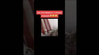 КОШКА 2021  КОШКИ ПРИКОЛЫ / КАК РАЗГОВАРИВАТЬ С КОШКОЙ /ПРИКОЛЫ 2021