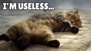 I'm a Useless Kitty... | Kittisaurus Villains