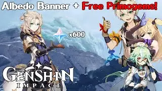 Albedo Banner + Free Primogems! (Genshin Impact)