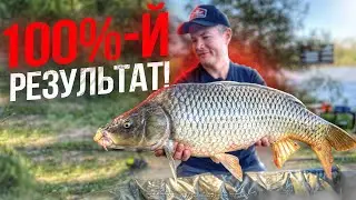 БОЛЬШОЙ КАРП НА ФИДЕР!  Рыбалка осенью на флэт.