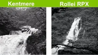 Rollei RPX 400 vs Kentmere: A Black and White Film Showdown