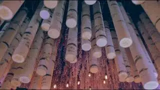 Pastel Forest - Designlab Experience