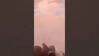 Мороз и солнце.
