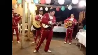Inocente pobre amigo- Mariachi Voz de México.