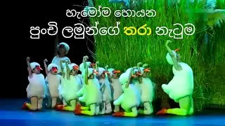හැමෝම හොයන පුංචි ලමුන්ගේ තරා නැටුම | Little Duck Children's dance 2023 (Original video)